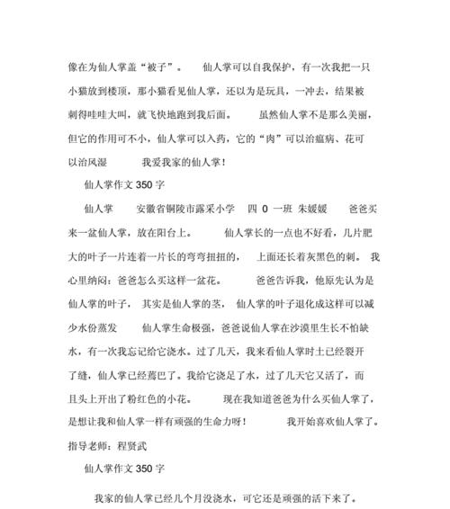 仙人掌王国中的奇妙旅程