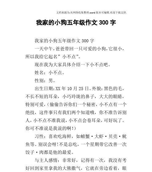 我的狗狗奇奇（永远陪伴在我身边的小狗）