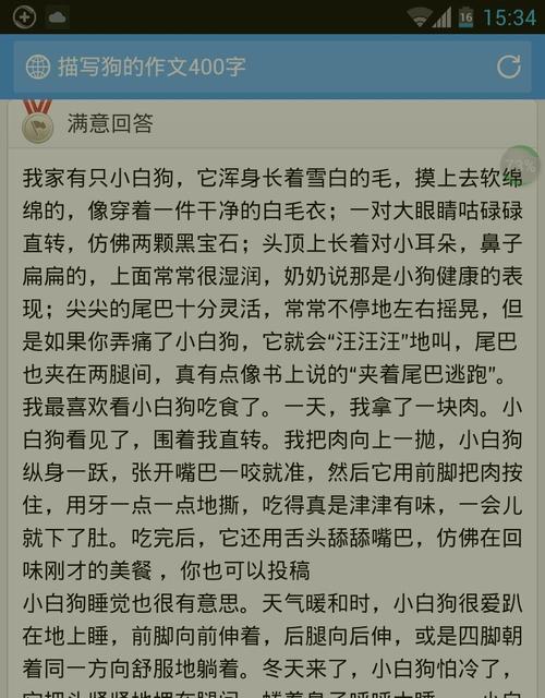 我的狗狗奇奇（永远陪伴在我身边的小狗）