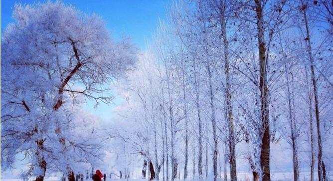 冬日初雪——唯美短句盛宴