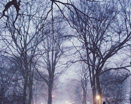 冬日初雪——唯美短句盛宴
