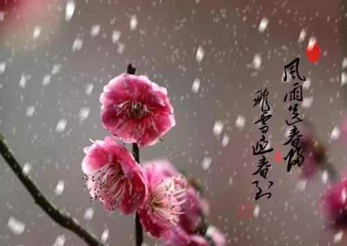 冬日迷情：88首优美古诗句