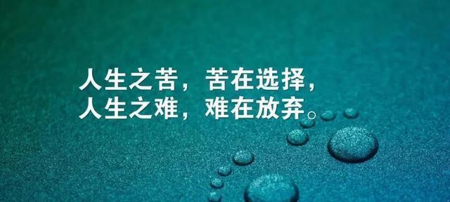 探寻生命的美好和未来的辉煌（探寻生命的美好和未来的辉煌）