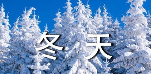 初冬的韵味（美丽的初冬景象）