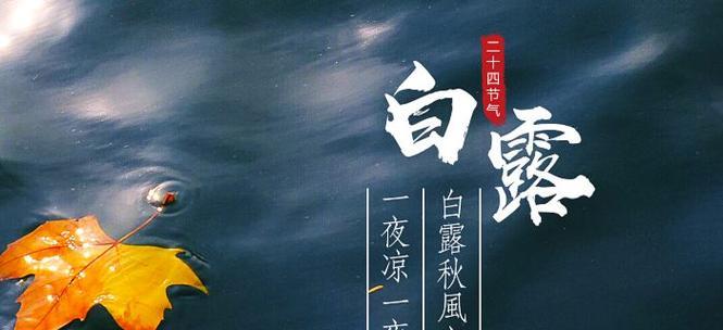 白露芳菲——古诗十首的诗意盛宴（以诗歌之笔，醉卧白露间）