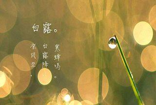 白露，秋意渐浓（送你一份祝福）