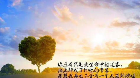 爱情迷雾中的旅程（寻觅爱情的悸动与迷惑）