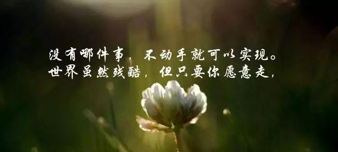 大学暖心励志的句子有哪些？如何在校园生活中找到正能量？