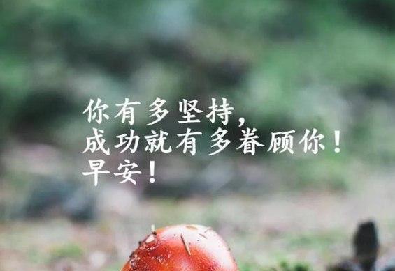 大学暖心励志的句子有哪些？如何在校园生活中找到正能量？