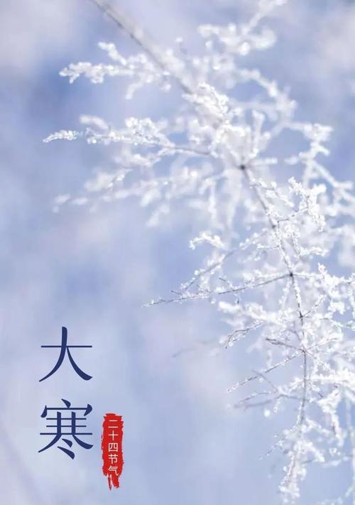 大寒时节发朋友圈唯美语录？如何用诗意的语言表达冬季的寒冷？