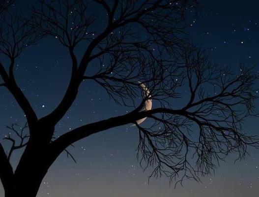 大半夜睡不着发朋友圈的句子？如何用文字表达深夜的思绪？