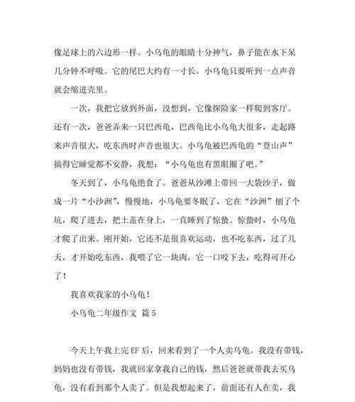小乌龟的故事（用坚韧不拔的精神，战胜了各种困境）