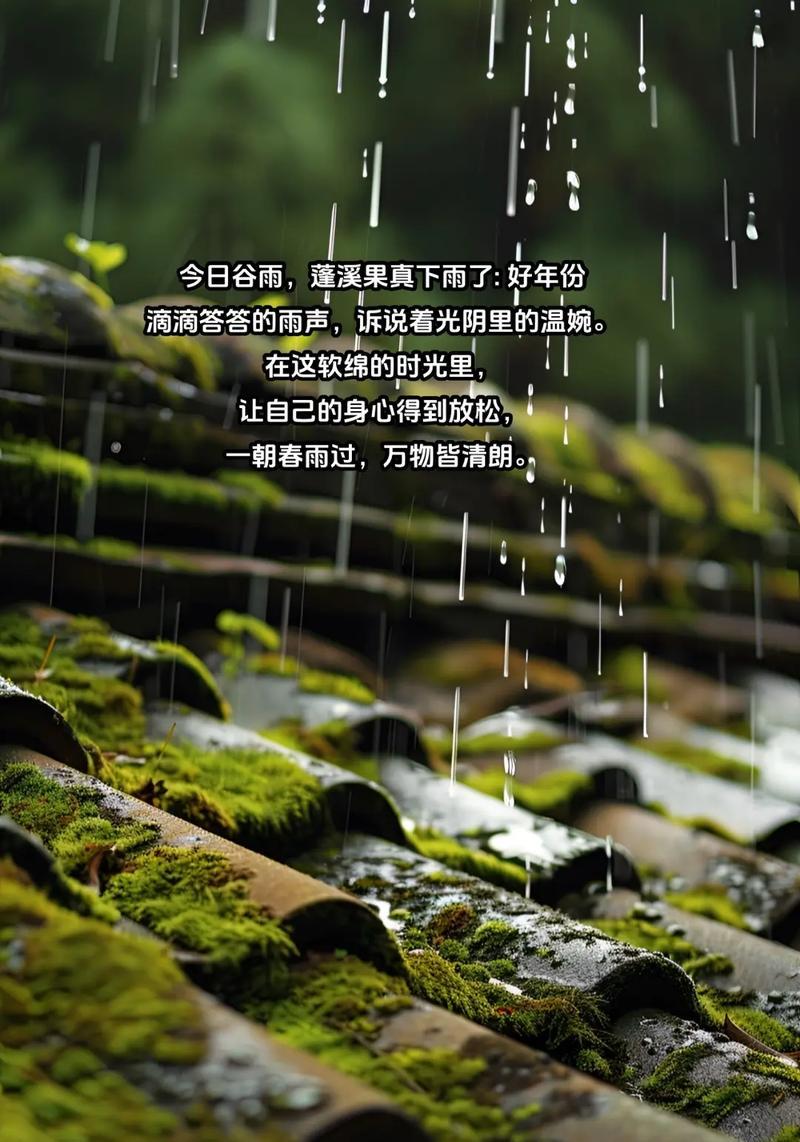 《谷雨听音，雅境幽思》
