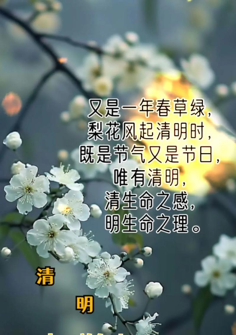 《细雨润墨花自寒：清明时节景物绘》