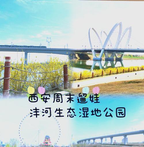 《春露营地：长安夜未眠》