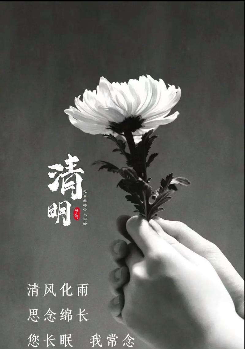 《忆清明，思绪如织》