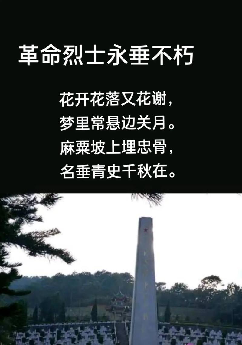 《翠微碧落忆英魂，清明时节寄哀思》