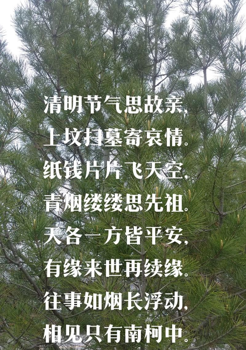 《清辉映古冢，哀思寄明月》