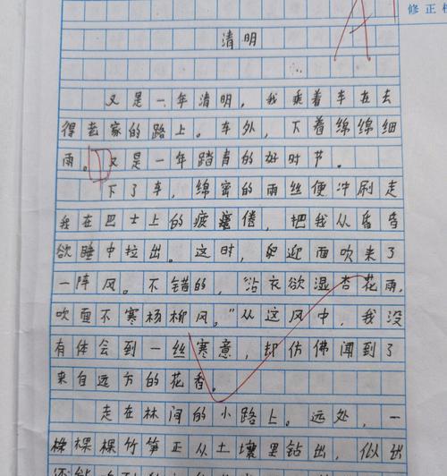 清明时节雨纷纷，高学生情谊深