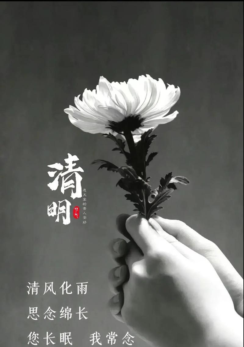 《清辉映古冢，哀思寄明月》