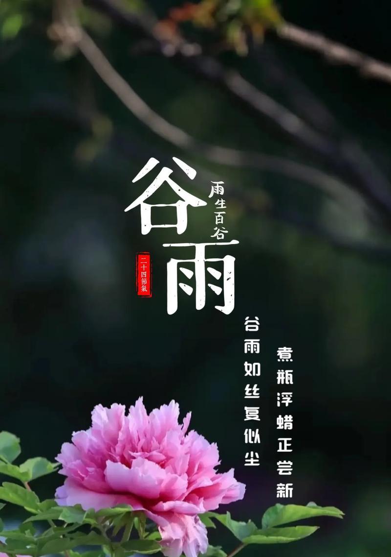 谷雨润物细无声，花事了，春意犹存