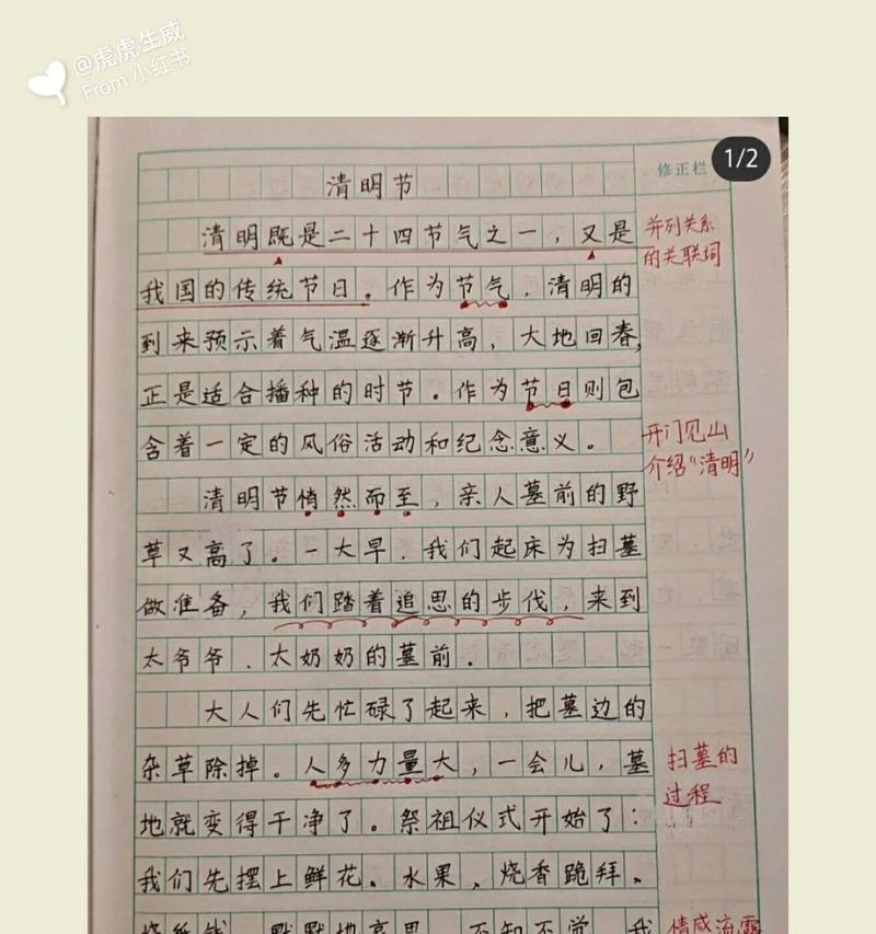 《麻辣记忆：清明时节的重庆味道》