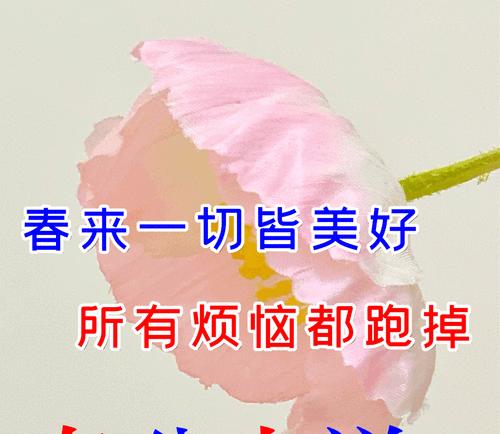春风拂面，四季如画——以风的四季春分祝福语为墨，绘制传统文化之美