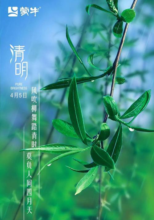 《谷雨润华年：清明时节的诗意流连》
