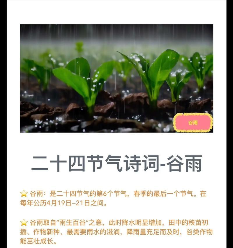 《谷雨润华年：清明时节的诗意流连》