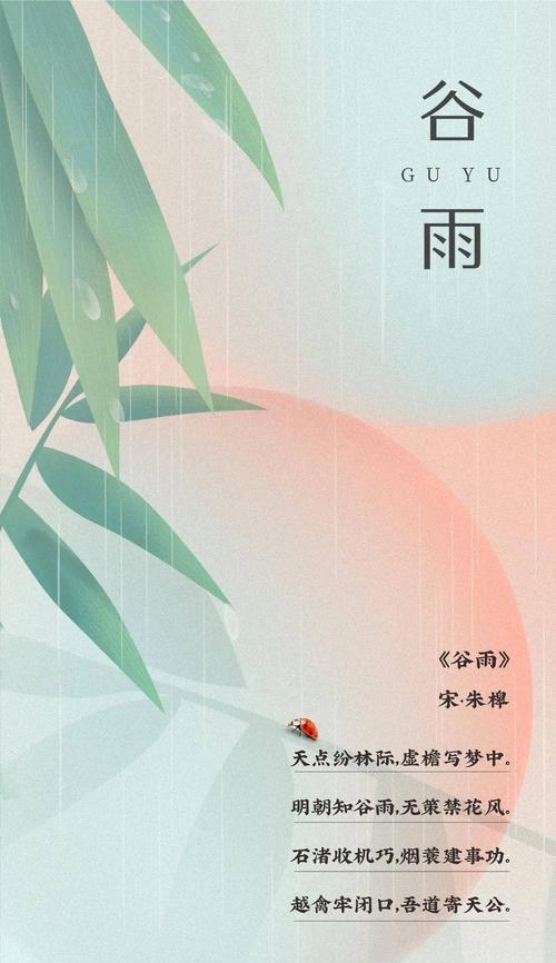 《谷雨时分，细雨润物细无声》