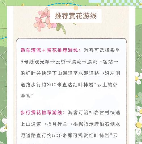 香山清明，花间一壶诗