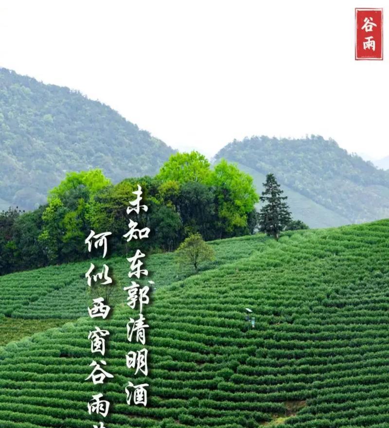 《谷雨润田，翠意盎然——田园风光中的传统文化韵律》