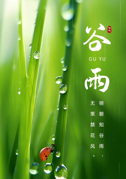 《谷雨润物细无声：春雨中的诗意生长》