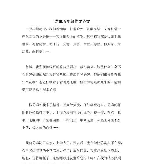 清明节的回味