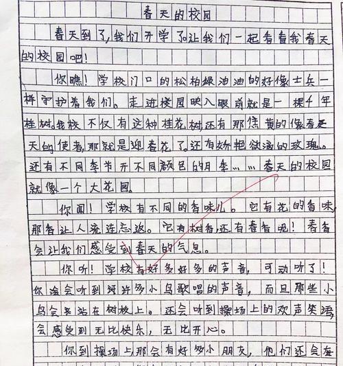 春分时节，草市里的生机