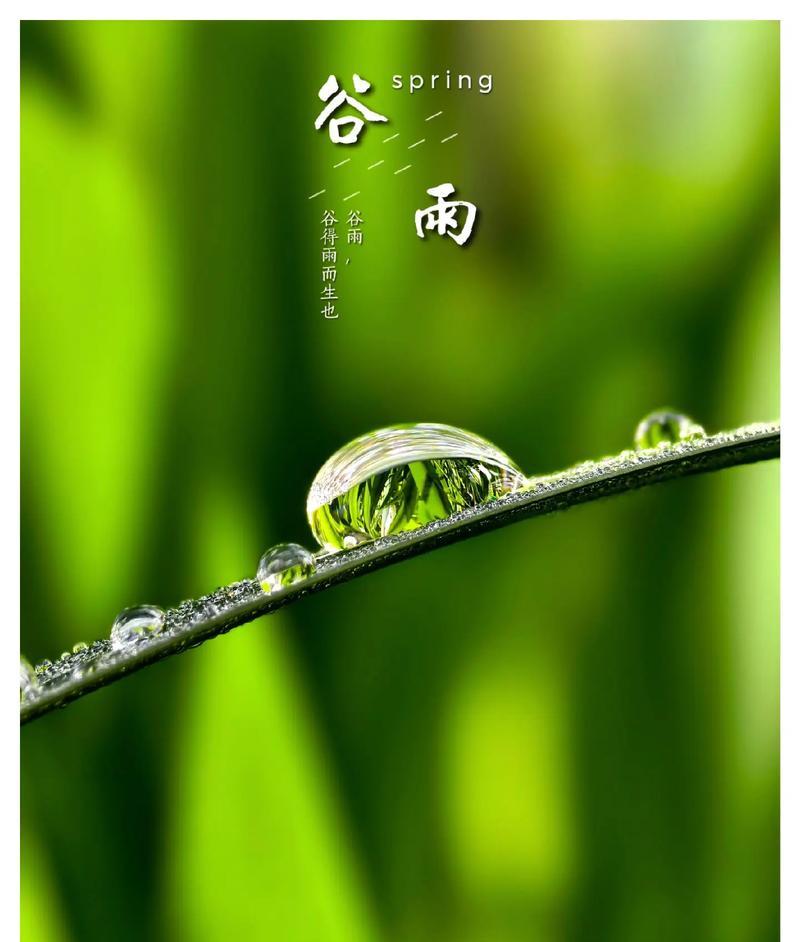 《谷雨绘：雨润物细无声》