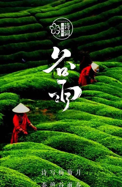 桃溪谷雨寻诗意，古风长歌绘情深