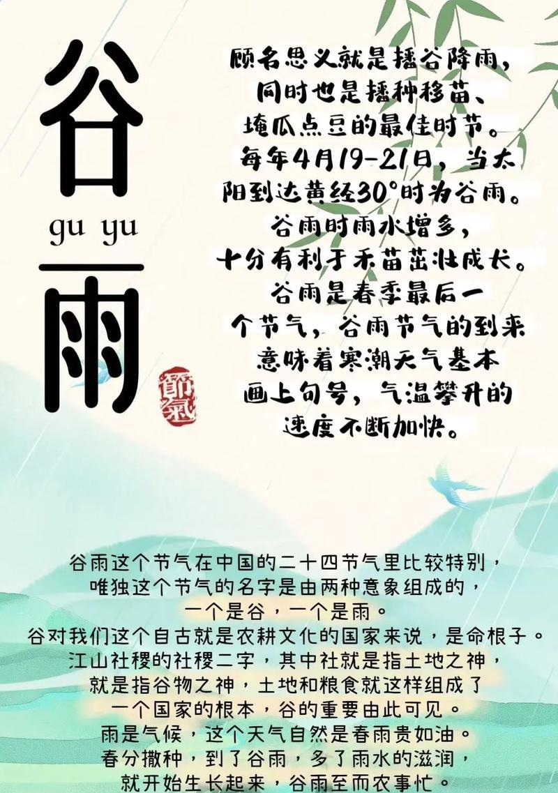 《雨润花间：谷雨时分话雅致》