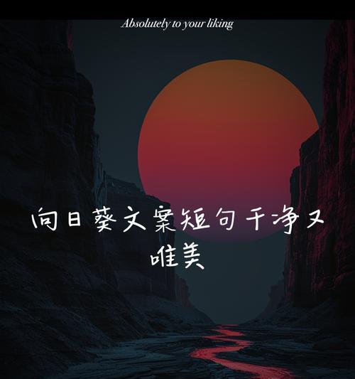 《谷雨葵开：一季芬芳记》