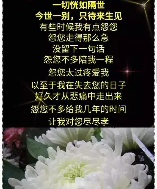 《清明忆昔，静思故人》