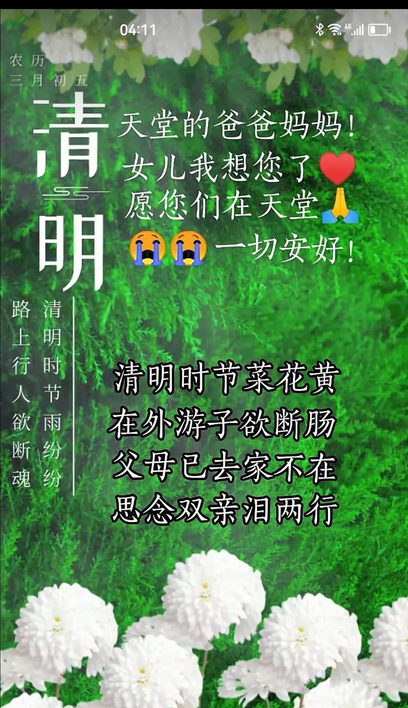 《清明细雨中的怀思》