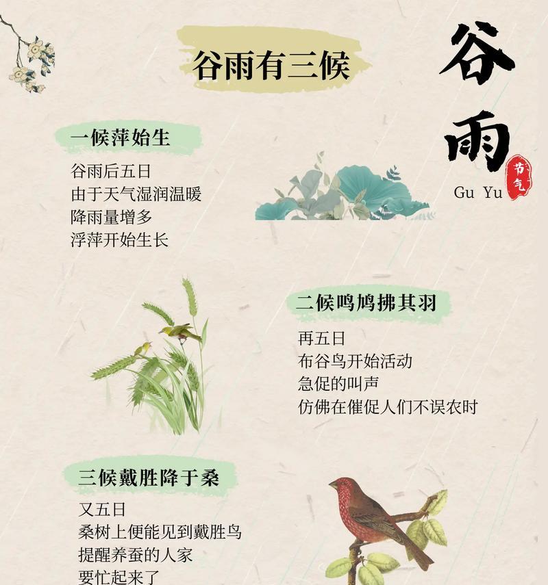 《谷雨时节，种下一树芳华》