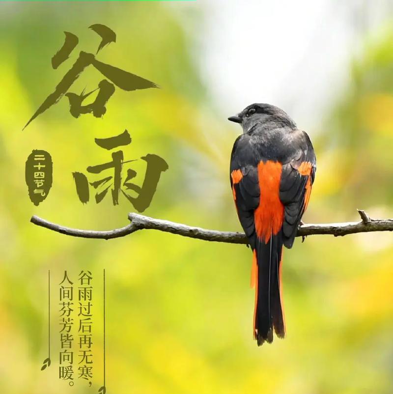 我家乡的谷雨美景句子好句有哪些？（《谷雨润乡情：江南春色浓墨重彩绘》）