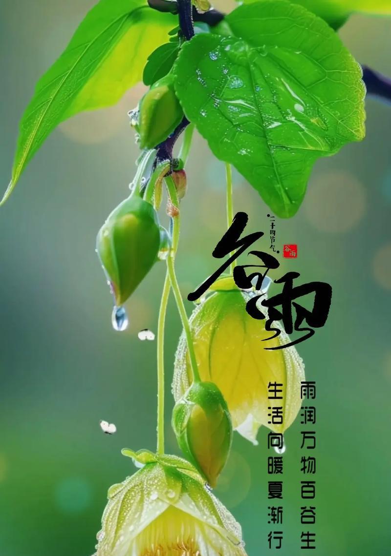 我家乡的谷雨美景句子好句有哪些？（《谷雨润乡情：江南春色浓墨重彩绘》）