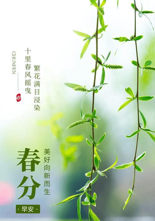 又见春是什么意思（又见春分：春意盎然的诗画长卷）