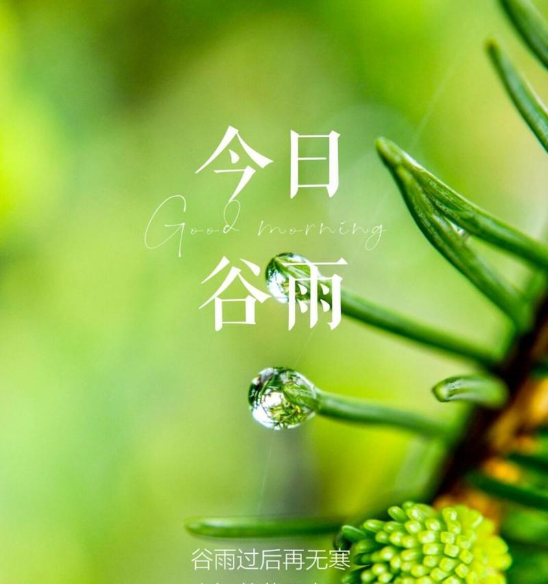 有关谷雨的好朋友怎么写摘抄的短句子（谷雨知心：一笔一墨绘清风）