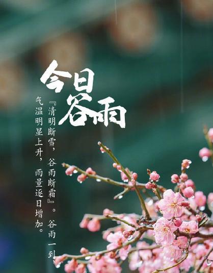 谷雨情高中说说好句怎么写？（谷雨情浓，笔墨绘春意）