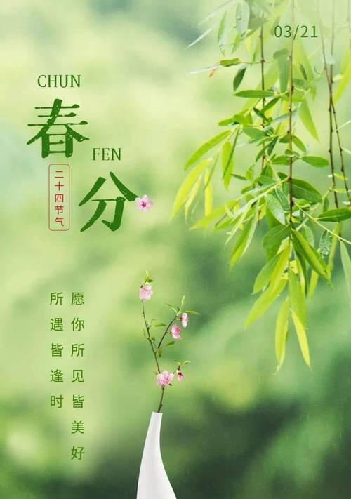 春分时节如何收集金句？（《春分时分，万象更新》）