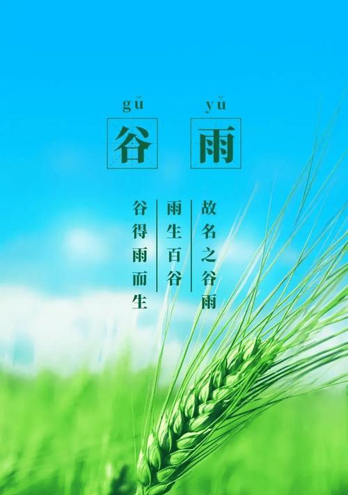 有关谷雨我在昆明听雨金句的句子怎么写（《谷雨听昆明，细雨润心田》）