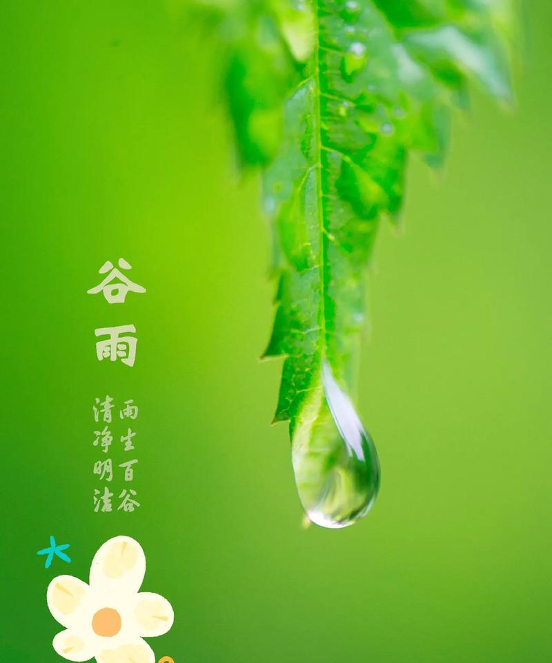 谷雨已过语录好句有哪些？（谷雨既逝，百谷丰登之言）